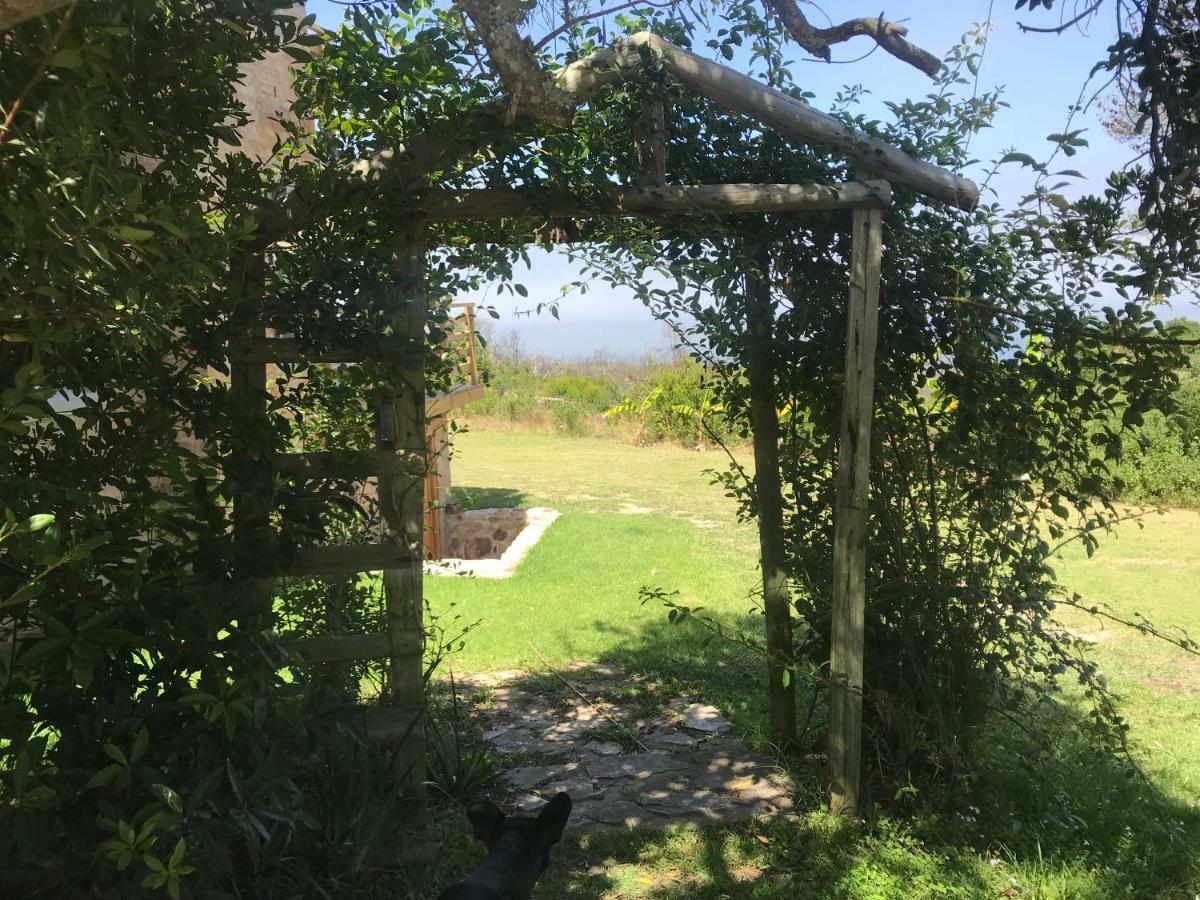 Trinity Farm Ocean View Cottage Plettenberg Bay Exteriör bild