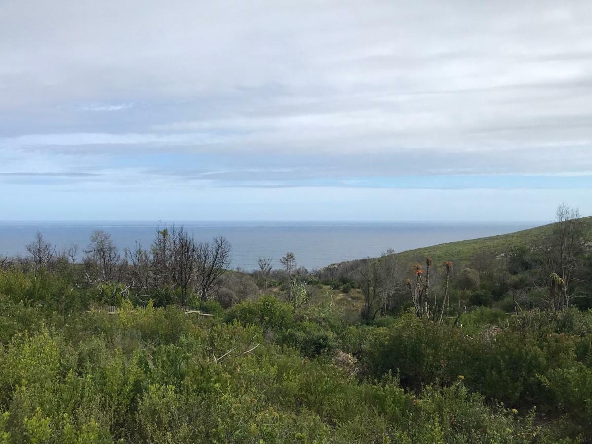 Trinity Farm Ocean View Cottage Plettenberg Bay Exteriör bild